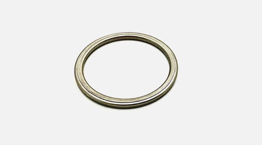 Amazon.com: Sealing Exhaust Gasket, Genuine OEM Part 5246008